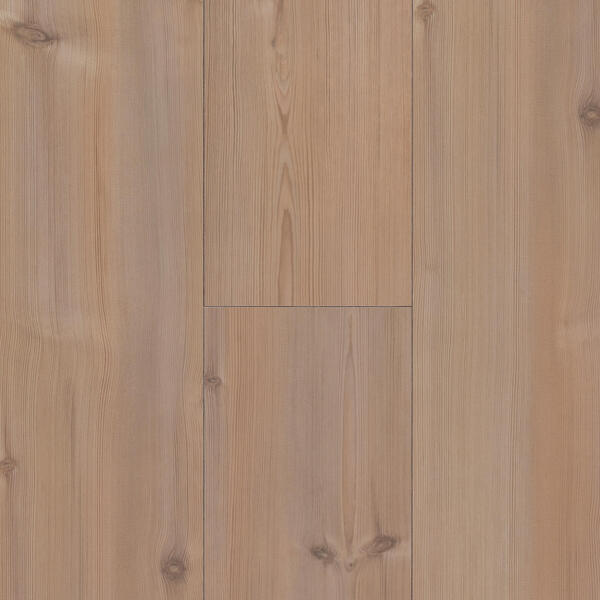 sunset boulevard 62001354