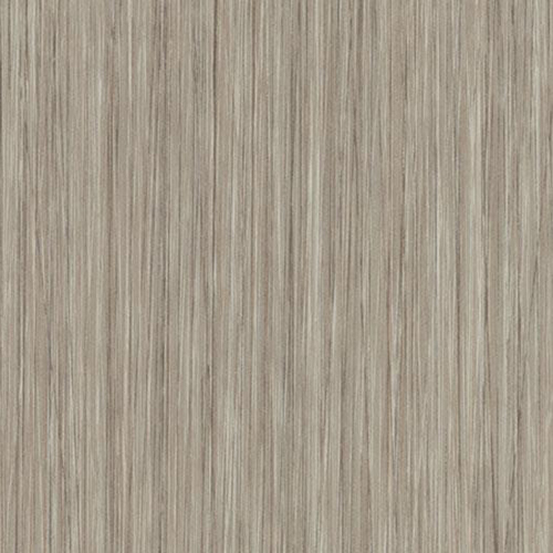 oyster seagrass 61253PZ7