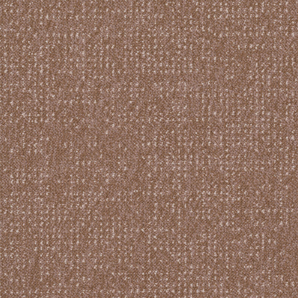 enlaced 2083