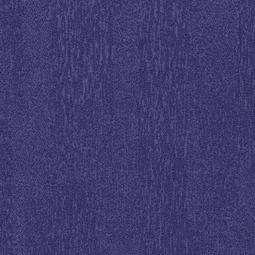 purple t382024