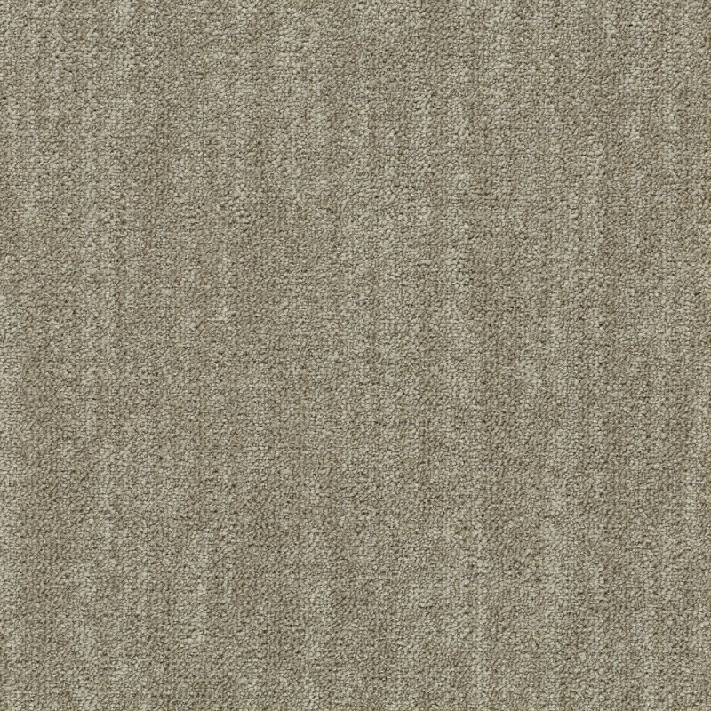 terre thread 5004
