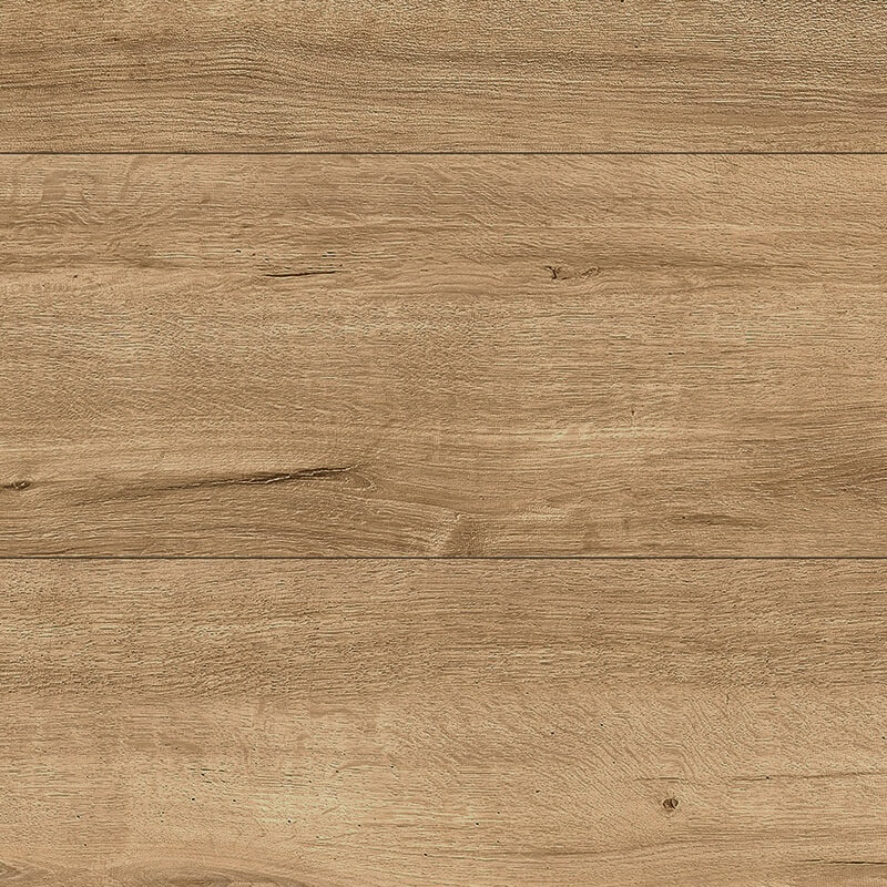 Mushroom Apollo Oak K634