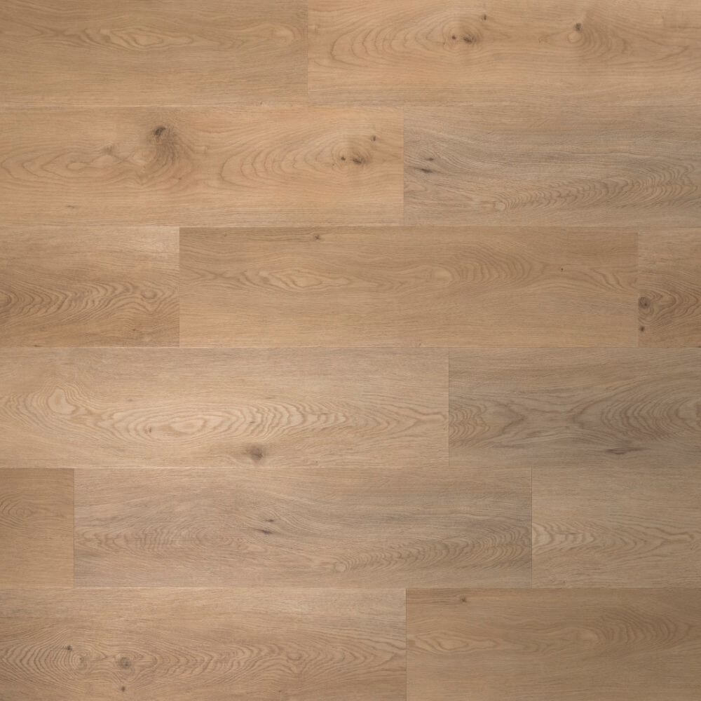 Chestnut* TAR849IB