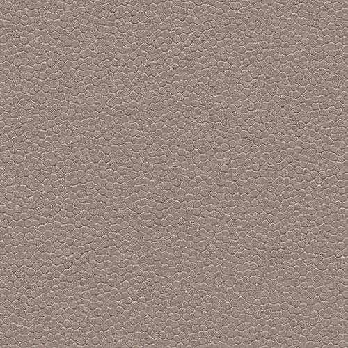 taupe 180232