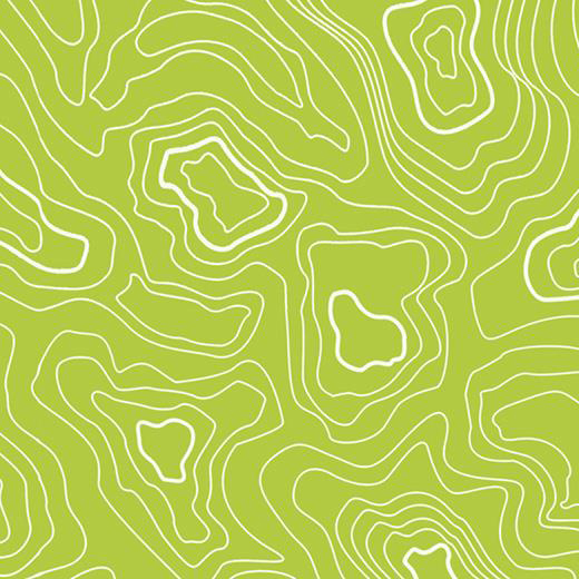 lime topography 928T4319