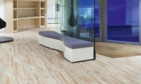 Floorin põrandad - Polyflor Affinity255 PUR